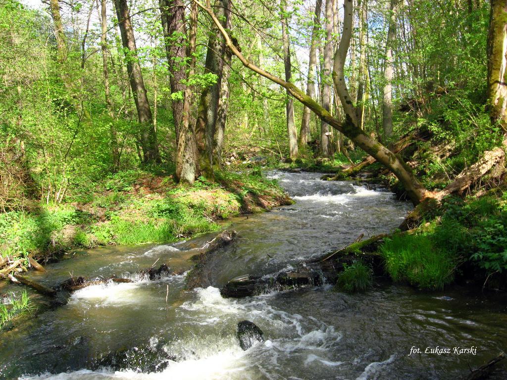 Domki , Pokoje Goscinne Ustronie Zwierzyniec Habitación foto